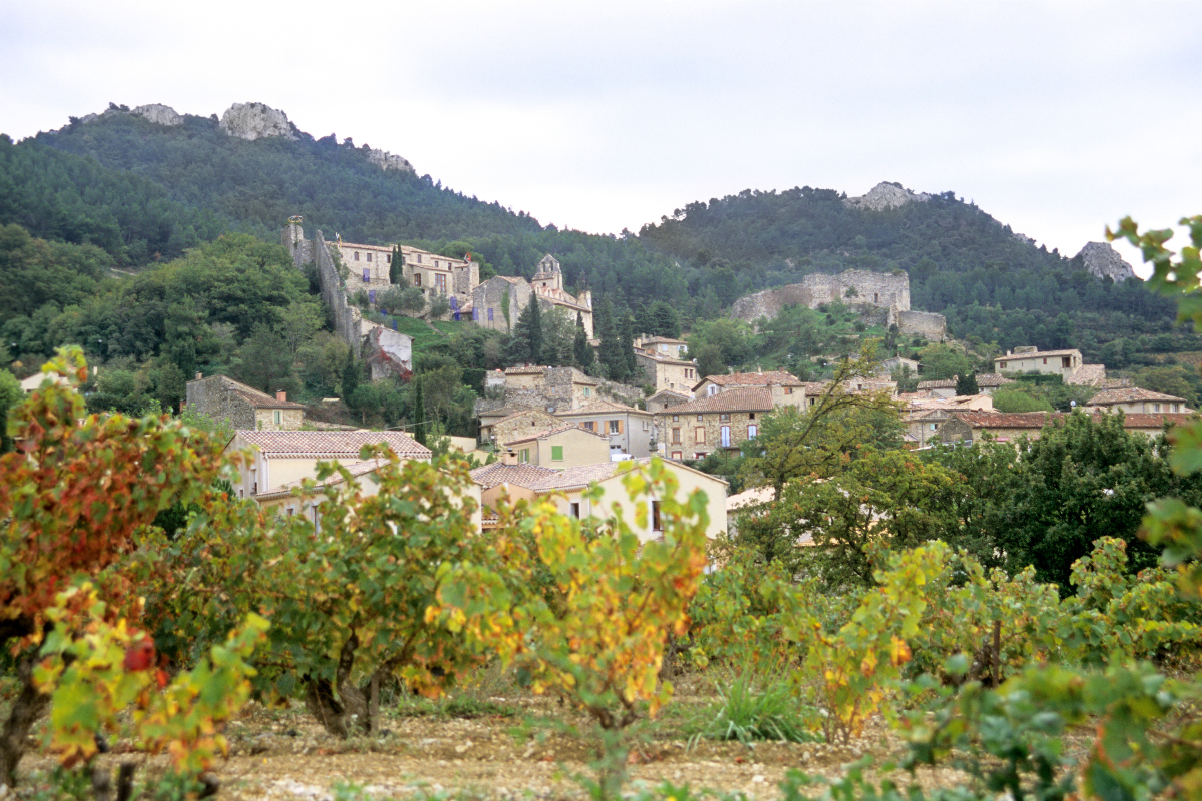 26_Gigondas[1].webp